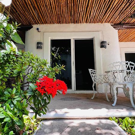 Mayan Art Hotel 10 Avenue Playa del Carmen Zewnętrze zdjęcie